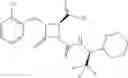 Fig. 251 - Therapeutic compounds and compositions