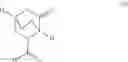 Fig. 08 - Method for producing 5-hydroxypiperidine-2-carboxylic acid