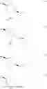 Fig. 64 - Method for producing 5-hydroxypiperidine-2-carboxylic acid
