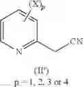 Fig. 04 - Catalytic hydrogenation of nitriles