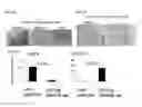 Fig. 07 - Small molecules that enable cartilage rejuvenation
