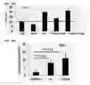Fig. 22 - Small molecules that enable cartilage rejuvenation
