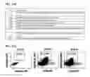 Fig. 28 - Small molecules that enable cartilage rejuvenation