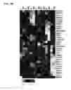 Fig. 40 - Small molecules that enable cartilage rejuvenation