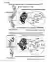 Fig. 42 - Small molecules that enable cartilage rejuvenation