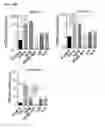 Fig. 44 - Small molecules that enable cartilage rejuvenation