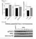 Fig. 45 - Small molecules that enable cartilage rejuvenation