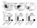 Fig. 49 - Small molecules that enable cartilage rejuvenation