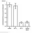 Fig. 10 - HIGHLY SENSITIVE DETECTION OF BIOMOLECULES USING PROXIMITY INDUCED BIOORTHOGONAL REACTIONS
