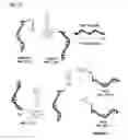 Fig. 13 - HIGHLY SENSITIVE DETECTION OF BIOMOLECULES USING PROXIMITY INDUCED BIOORTHOGONAL REACTIONS