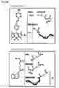 Fig. 16 - HIGHLY SENSITIVE DETECTION OF BIOMOLECULES USING PROXIMITY INDUCED BIOORTHOGONAL REACTIONS