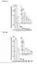 Fig. 19 - HIGHLY SENSITIVE DETECTION OF BIOMOLECULES USING PROXIMITY INDUCED BIOORTHOGONAL REACTIONS