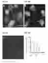 Fig. 20 - HIGHLY SENSITIVE DETECTION OF BIOMOLECULES USING PROXIMITY INDUCED BIOORTHOGONAL REACTIONS