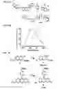 Fig. 24 - HIGHLY SENSITIVE DETECTION OF BIOMOLECULES USING PROXIMITY INDUCED BIOORTHOGONAL REACTIONS