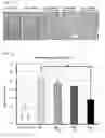 Fig. 07 - Catechol derivative and pharmaceutical composition comprising the same