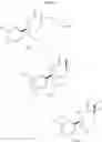 Fig. 28 - 2-AMINO-3-FLUORO-3-(FLUOROMETHYL)-6-METHYL-6-PHENYL-3,4,5,6-TETRAHYDROPYRIDINES AS BACE1 INHIBITORS
