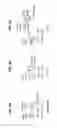 Fig. 03 - Selective alpha-7 nicotinic receptor agonists and methods for making and using them
