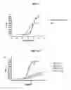 Fig. 09 - Selective alpha-7 nicotinic receptor agonists and methods for making and using them