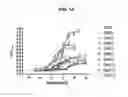 Fig. 19 - Selective alpha-7 nicotinic receptor agonists and methods for making and using them