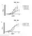 Fig. 21 - Selective alpha-7 nicotinic receptor agonists and methods for making and using them