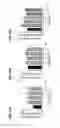 Fig. 25 - Selective alpha-7 nicotinic receptor agonists and methods for making and using them