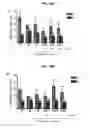 Fig. 26 - Selective alpha-7 nicotinic receptor agonists and methods for making and using them