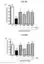 Fig. 27 - Selective alpha-7 nicotinic receptor agonists and methods for making and using them