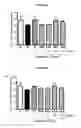 Fig. 29 - Selective alpha-7 nicotinic receptor agonists and methods for making and using them
