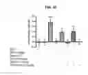 Fig. 32 - Selective alpha-7 nicotinic receptor agonists and methods for making and using them