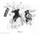 Fig. 37 - Pyrazol-3-ones that activate pro-apoptotic BAX