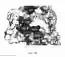 Fig. 57 - Pyrazol-3-ones that activate pro-apoptotic BAX