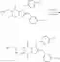 Fig. 904 - Substituted xanthines and methods of use thereof