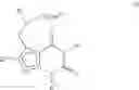 Fig. 03 - Pyrazolopyrimidone or Pyrrolotriazone derivatives, method of preparing same, and pharmaceutical applications thereof