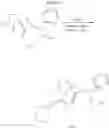 Fig. 62 - SPIRO-LACTAM NMDA RECEPTOR MODULATORS AND USES THEREOF