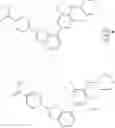 Fig. 593 - TBK/IKK inhibitor compounds and uses thereof