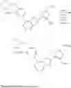 Fig. 962 - TBK/IKK inhibitor compounds and uses thereof