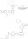 Fig. 975 - TBK/IKK inhibitor compounds and uses thereof