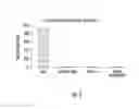 Fig. 06 - Prodrugs of prostate specific membrane antigen (PSMA) inhibitor