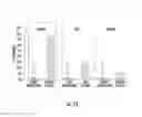 Fig. 14 - Prodrugs of prostate specific membrane antigen (PSMA) inhibitor