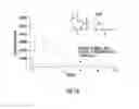 Fig. 15 - Prodrugs of prostate specific membrane antigen (PSMA) inhibitor