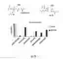 Fig. 16 - Prodrugs of prostate specific membrane antigen (PSMA) inhibitor