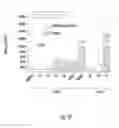 Fig. 18 - Prodrugs of prostate specific membrane antigen (PSMA) inhibitor