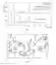Fig. 06 - Composition enriched in single isomer of NUC-1031 and preparation method and use thereof