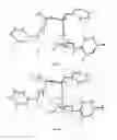 Fig. 07 - Composition enriched in single isomer of NUC-1031 and preparation method and use thereof