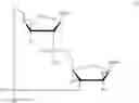 Fig. 05 - Cyclic di-nucleotide compounds as STING agonists