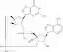Fig. 135 - Cyclic di-nucleotide compounds as STING agonists