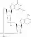 Fig. 147 - Cyclic di-nucleotide compounds as STING agonists