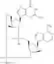 Fig. 153 - Cyclic di-nucleotide compounds as STING agonists