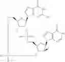 Fig. 207 - Cyclic di-nucleotide compounds as STING agonists