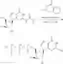 Fig. 483 - Cyclic di-nucleotide compounds as STING agonists